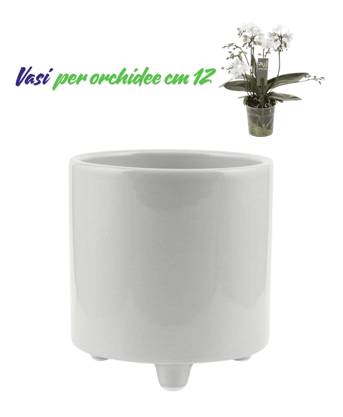 Immagine e commerce Vasi per orchidee forma cilidro con piedini colore grigio