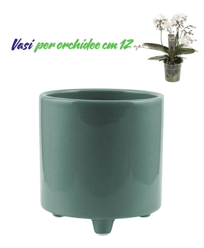 Immagine e commerce Vasi per orchidee forma cilidro con piedini color verde petrolio