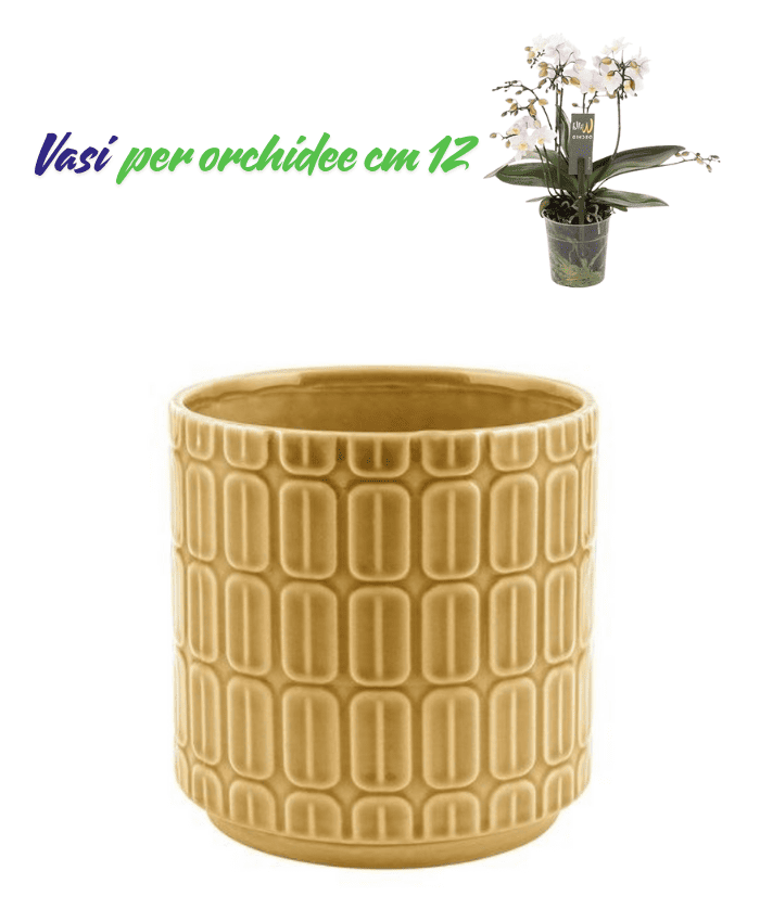 VDE-142-GL-Vaso-per-orchidee-con-decori-rettangolari-in-rilievo-colore-gialloE-142-GL
