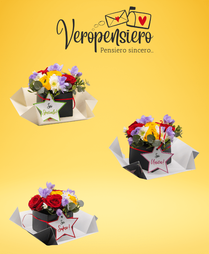 Assortimento sagomette stella in forex mm