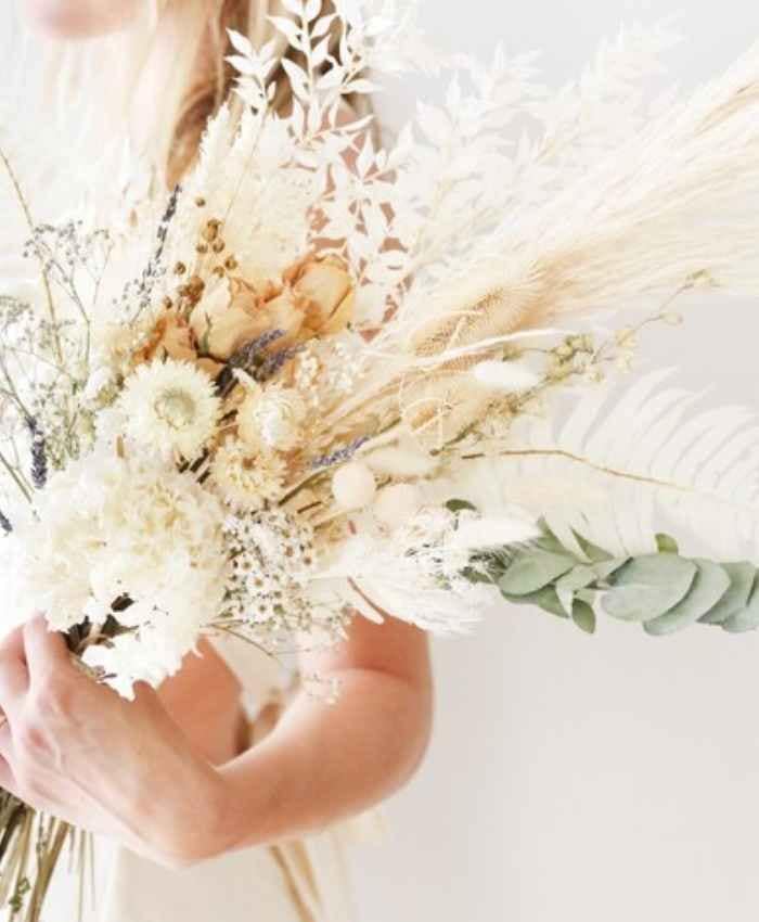 Phalaris Poa essiccata busta 100 grammi - immagine 16