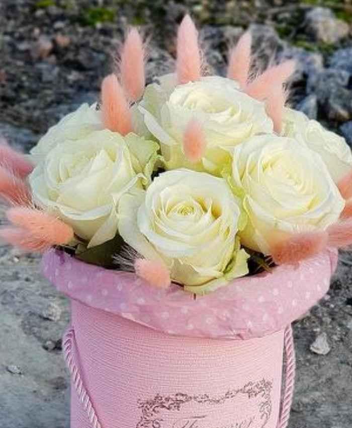 Phalaris Poa essiccata busta 100 grammi - immagine 6