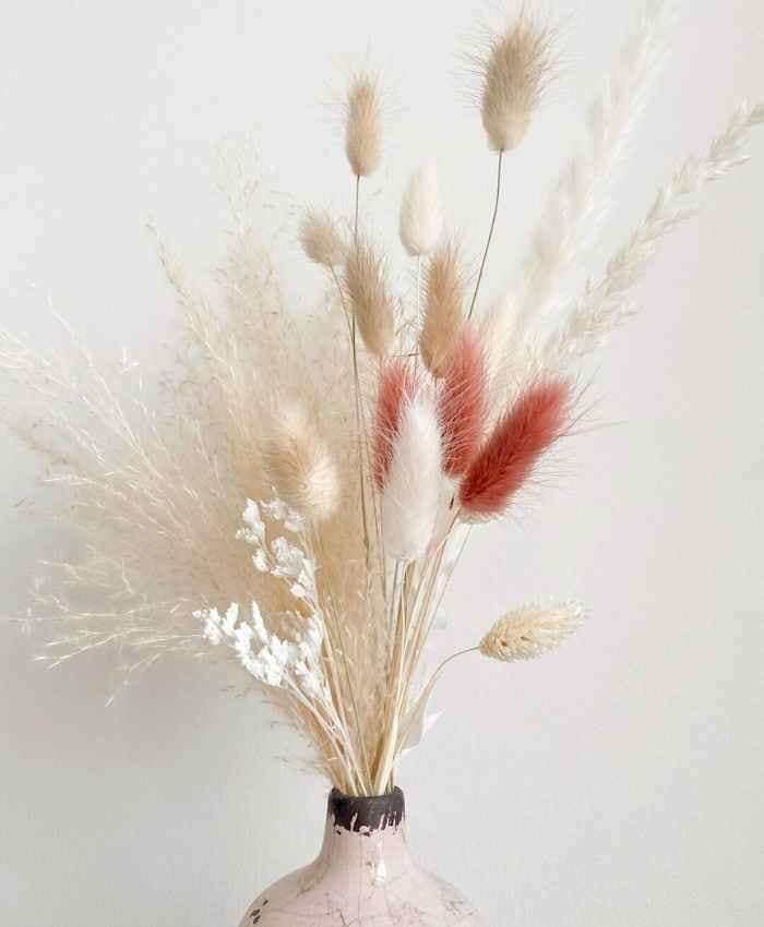 Phalaris Poa essiccata busta 100 grammi - immagine 7