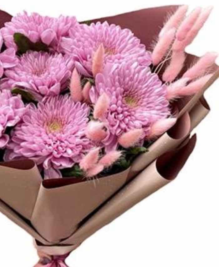 Phalaris Poa essiccata busta 100 grammi - immagine 9