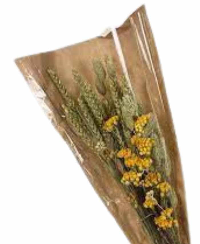 Phalaris Poa essiccata busta 100 grammi - immagine 12