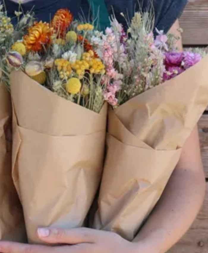 Phalaris Poa essiccata busta 100 grammi - immagine 13