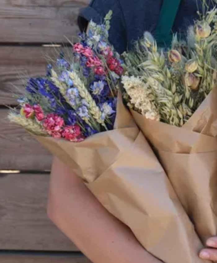 Phalaris Poa essiccata busta 100 grammi - immagine 14