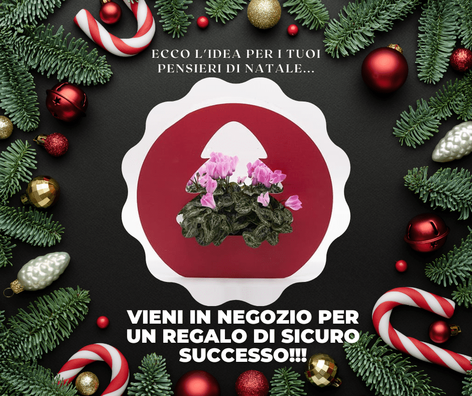 Post Natale Creflo' n.1