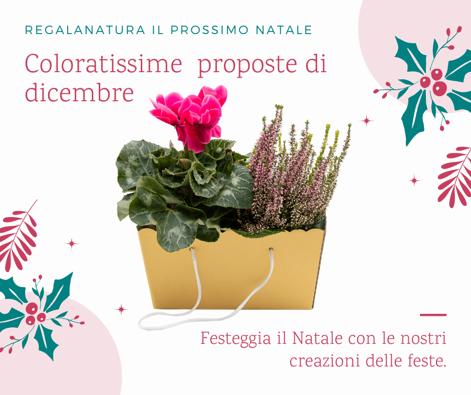 Post facebook proposte coloratissime