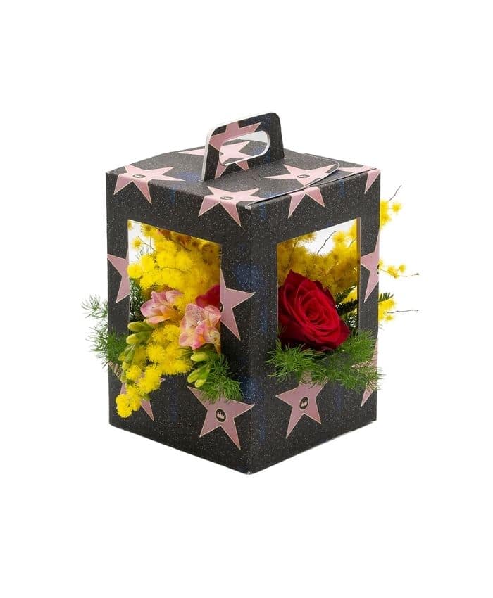 Pop Flo' piccola - Flowerbox con 4 finestre e manico cm 11 h16 - immagine 3