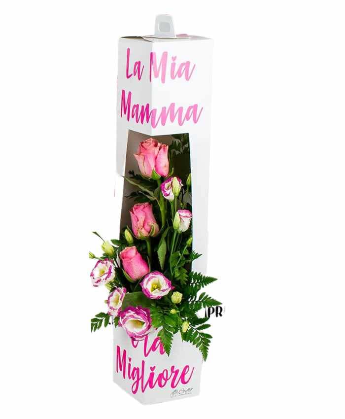 PACCHETTO DEDICABOX MAMMA EDITION (36 pz) - immagine 8
