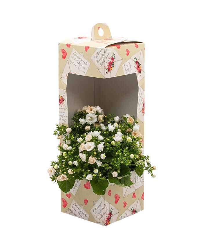 everyday-box-v12-flowerbox-con-finestra-e-manico-per-vaso-12-cm-grazie-mamma-ecru