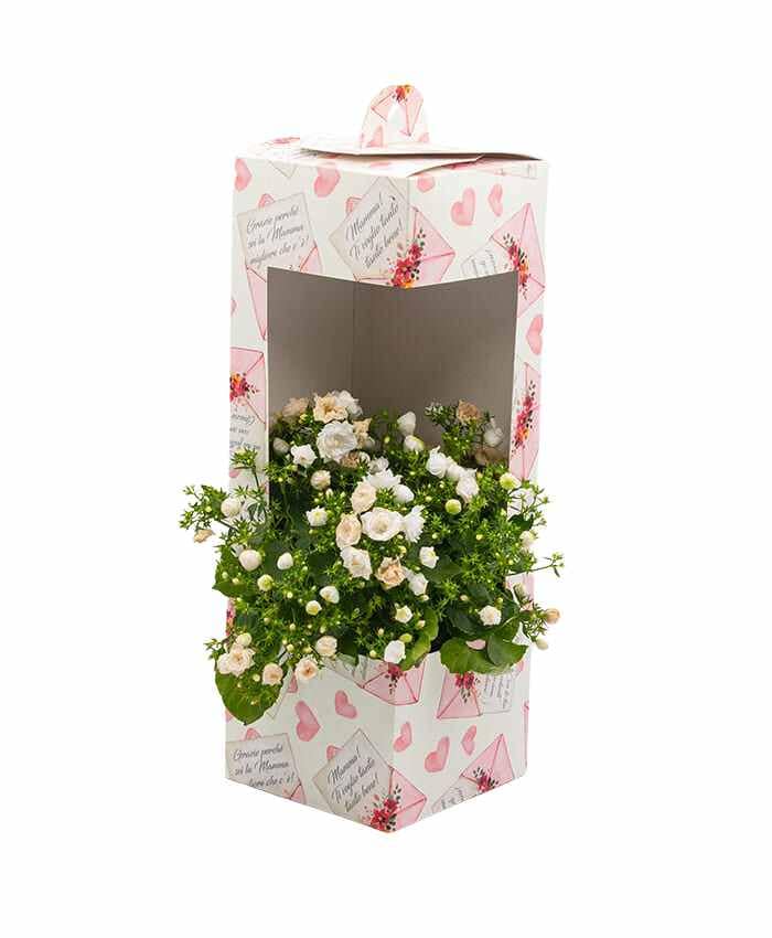 everyday-box-v12-flowerbox-con-finestra-e-manico-per-vaso-12-cm-grazie-mamma-rosa