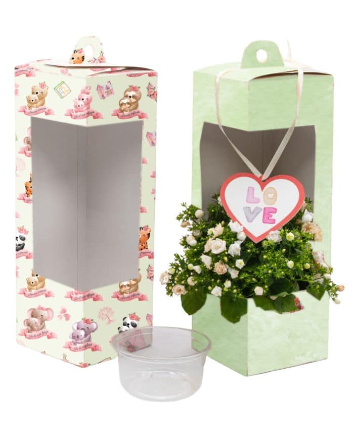 pacchetto-ti-voglio-bene-mamma-50-pezzi-in-5-modelli-everyday-box-v12