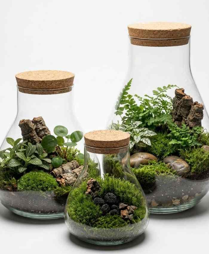 Terrarium vetro base larga collo stretto diametro 15 alto 18 cm con tappo sughero - immagine 3