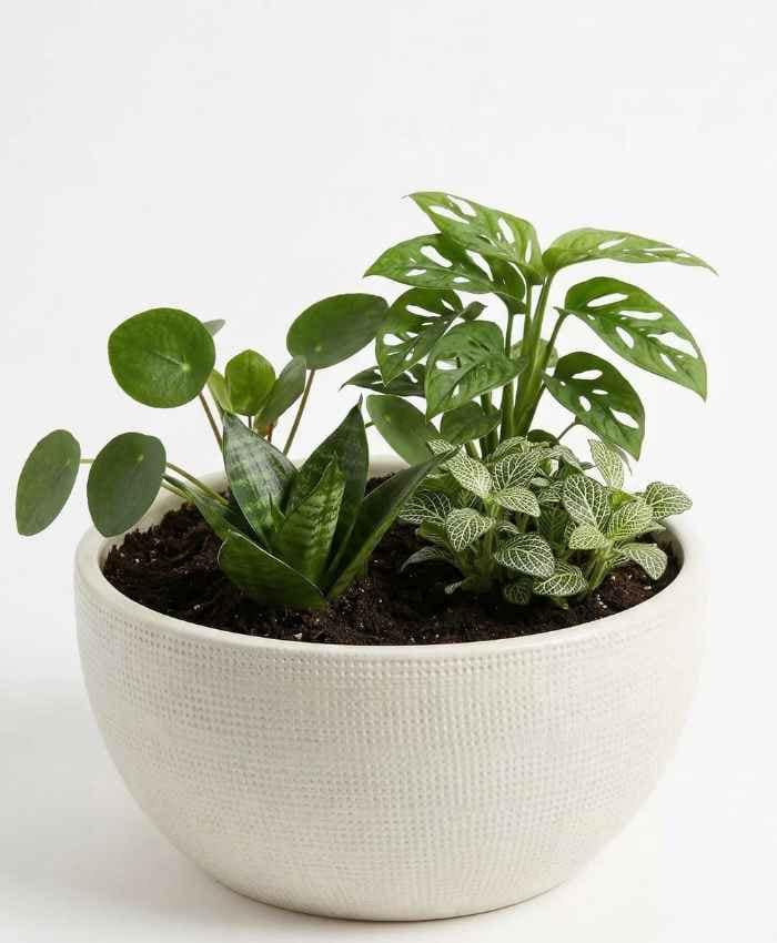 Ciotola in ceramica Luxury lavorazione puntinata diametro 28-Beige - immagine 2