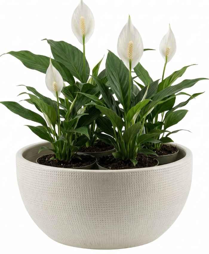 Ciotola in ceramica Luxury lavorazione puntinata diametro 28-Beige - immagine 4