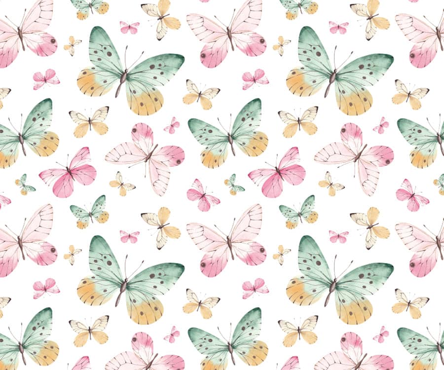 Grafica Delicata Farfalla Festa della Donna Creflò 2024