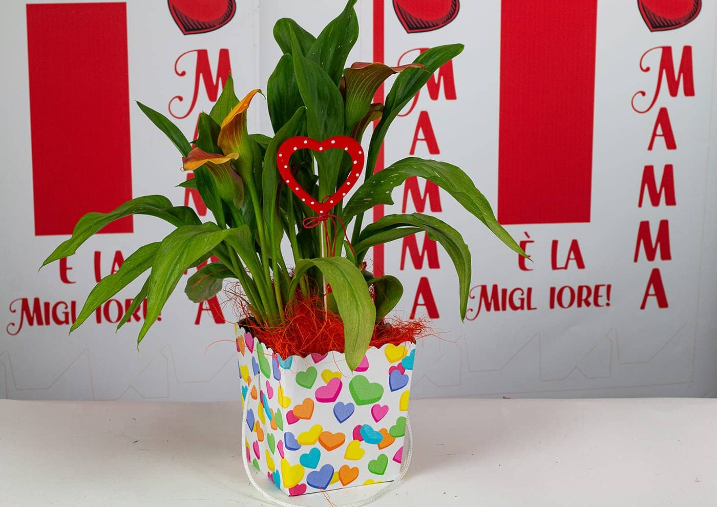 Travelflò confezione regalo per piante con Festa Mamma