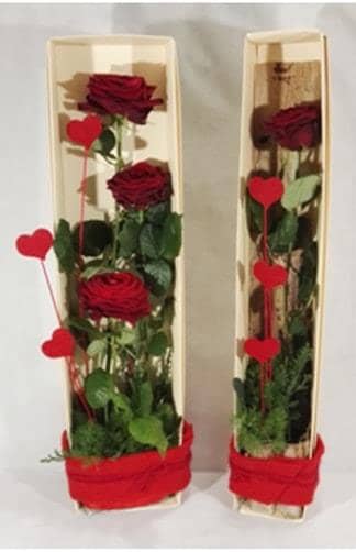 Aumentare le vendite di fiori e piante con le scatole per fiori Creflo'-min