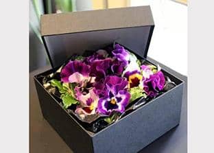 Scatole per Fiori