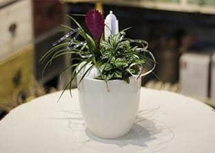 Cachepot Ceramica (Caspo')