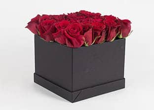 Flower Box