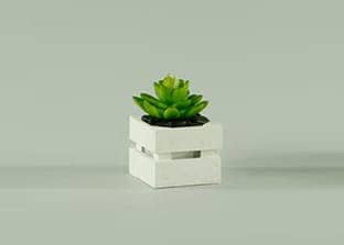 Cassette in legno piccole
