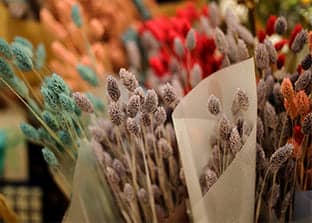 Fiori secchi