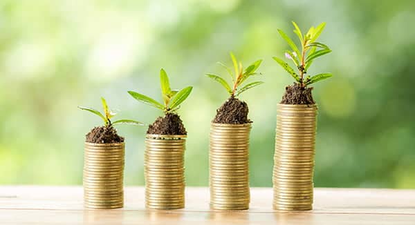 Immagine in evidenza articolo blog Flower cost