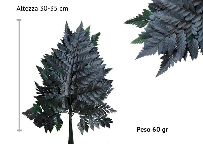 immagine e-commerce Felce cuoio stabilizzata cm 35-40