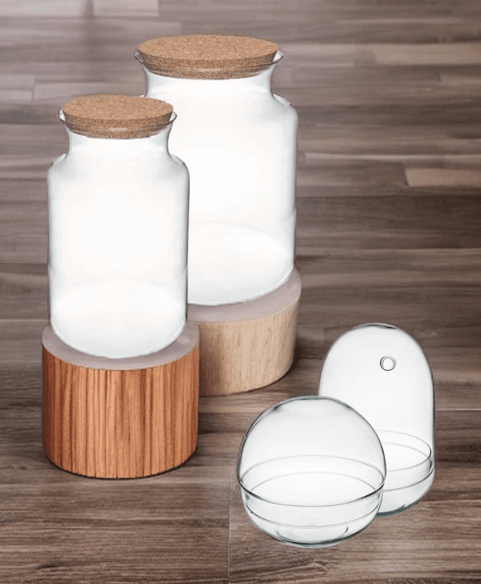 Pacchetto terrarium vetro mix base 34 pz