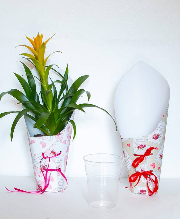 Phale Cone-Cono per orchidea Palenopsis alto 41 cm - immagine 3