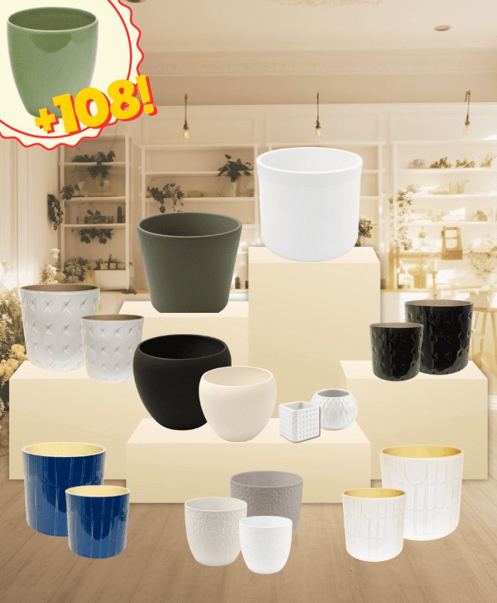 Pacchetto Super Valore Ceramica Assortimento vasi ceramica per piante con vaso da 14 a 33 cm