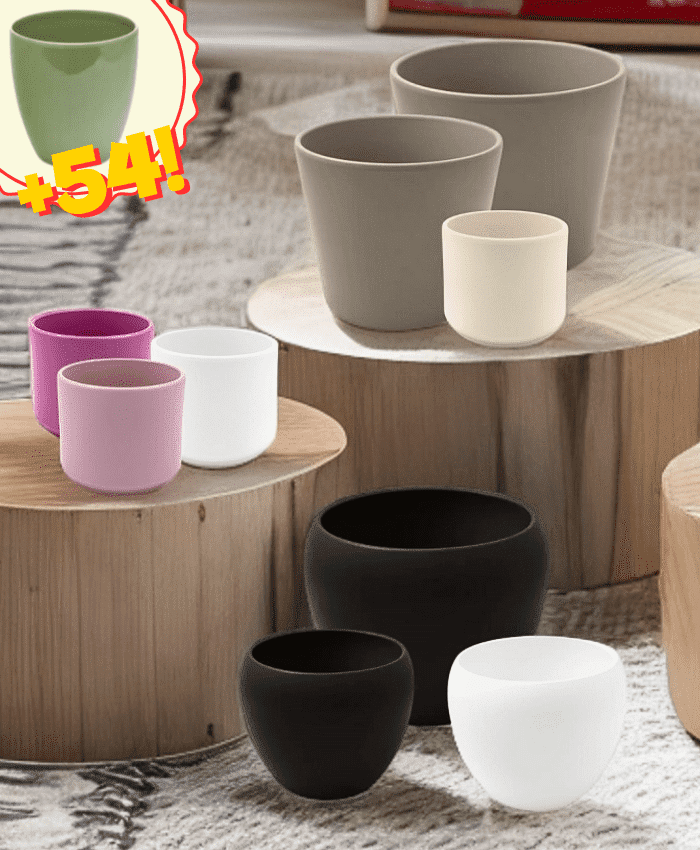 Pacchetto ceramica media Assortimento vasi ceramica per piante con vaso da 14 a 26 cm