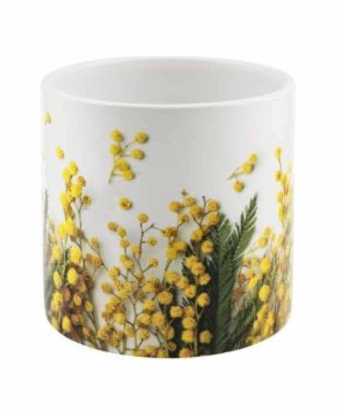 Immagine e commerce Vaso Orchidea cilindrico decoro Ramo mimosa diametro 13 alto 13 cm