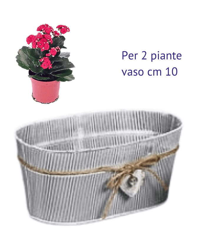 Immagine e commerce Contenitore latta anticata decoro righe con cordoncino e cuore per 2 piante vaso 10 cm