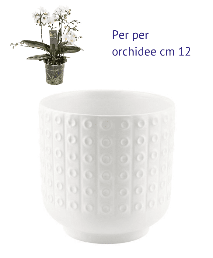 Immagine e commerce Vaso per orchidee ceramica bianca forma cilidro decoro cerchi base stretta