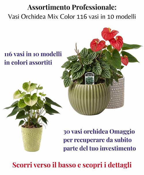 tutto-pronto-vasi-orchidea-mix-color