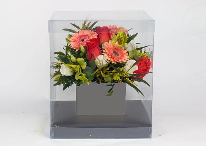 Crystalbox - Scatole trasparenti per fiori cm 24x24x28