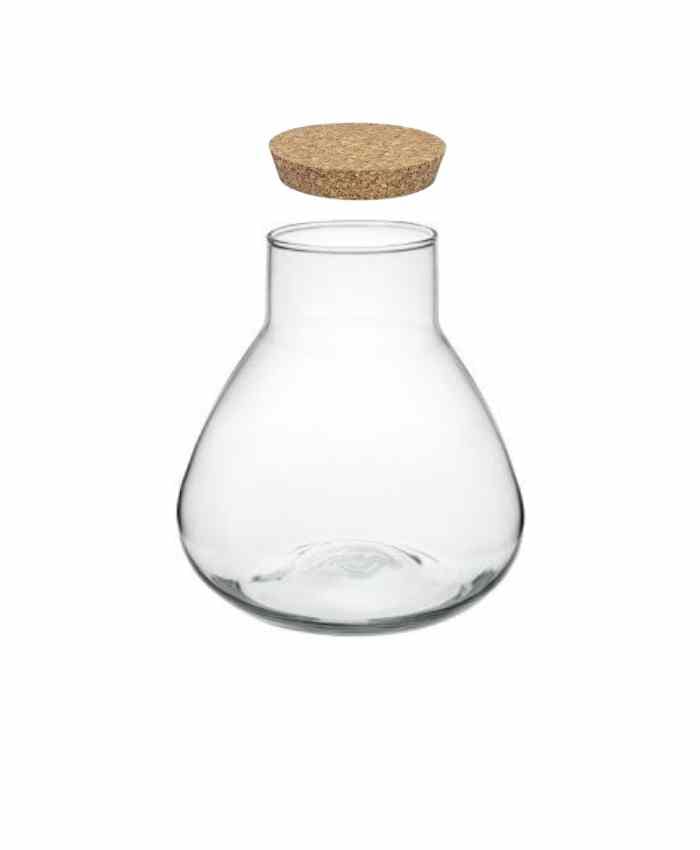 terrarium-vetro-base-larga-collo-stretto-diametro-15-alto-18-cm