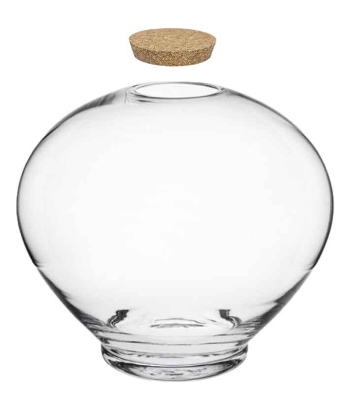 Immagine e commerce Vaso in vetro ovale con tappo in sughero per terrarium diametro 34 cm