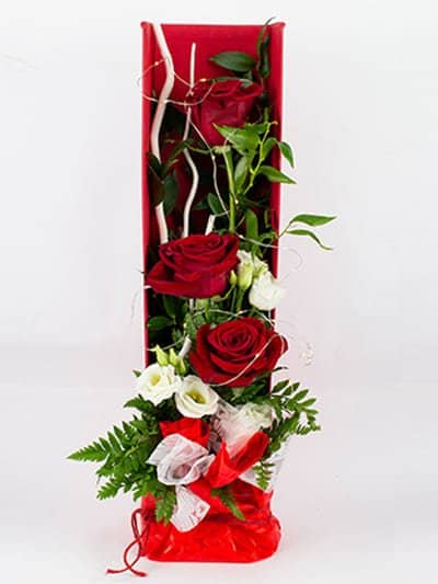 Regalo San Valentino - Rose - Fiori Stabilizzati - Fioreria Rosàflor  Bassano del Grappa
