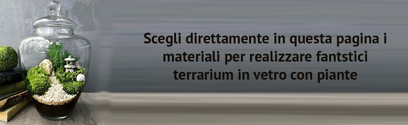 Slide pagina consili fioristi per Composizioni piante grasse vetro con materiali naturali