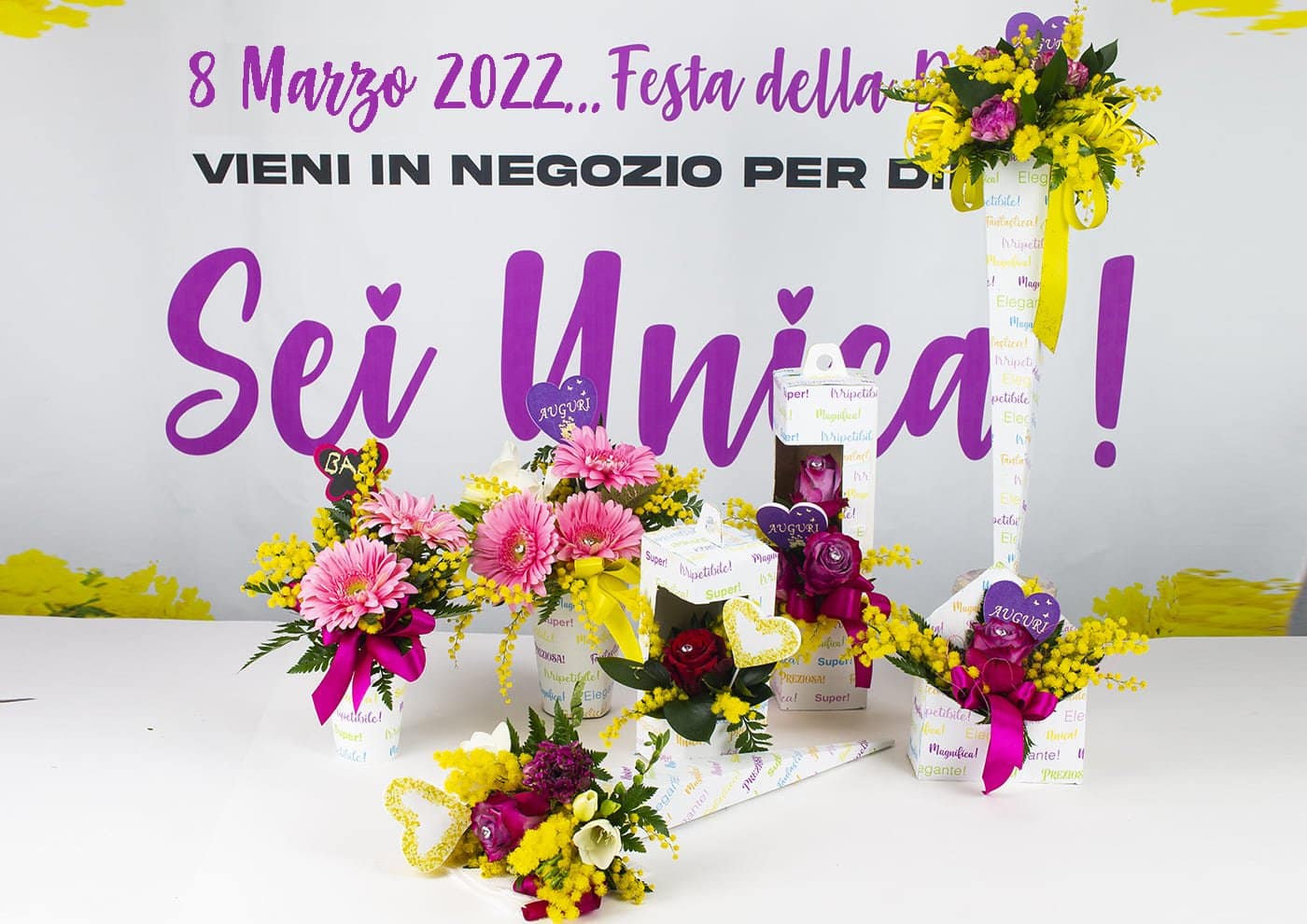 Pacchetto 100 mimose scatole per mimosa Fantasia Super Girl