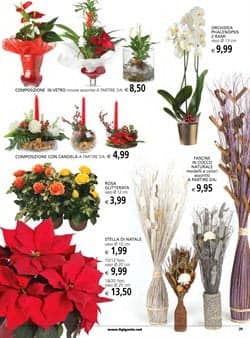 Vendita piante e fiori - concorrenza gdo