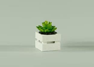 Immagine categoria cassette di legno piccole