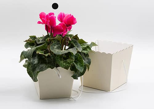 travelflo-cm-13-flower-box-economica-con-manico-Avorio
