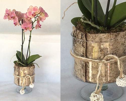 Banner home page Black friday vasi in vetro