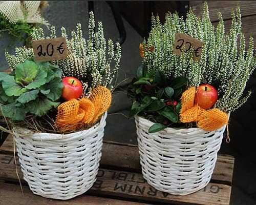 Banner home page Cesti vimini - promo black friday